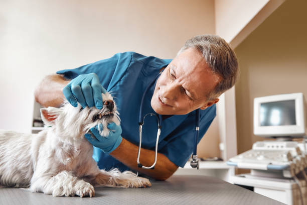 Best Weekend Emergency Dentist in Cedar Grove, WI